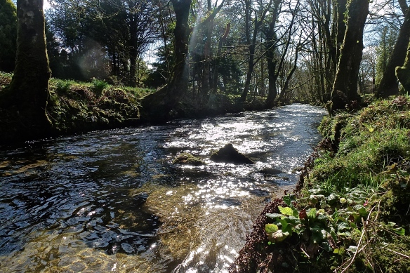 My place of Solitude: River Fowey on Bodmin Moor