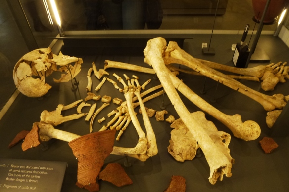 An example of a burial from 4500 years ago.